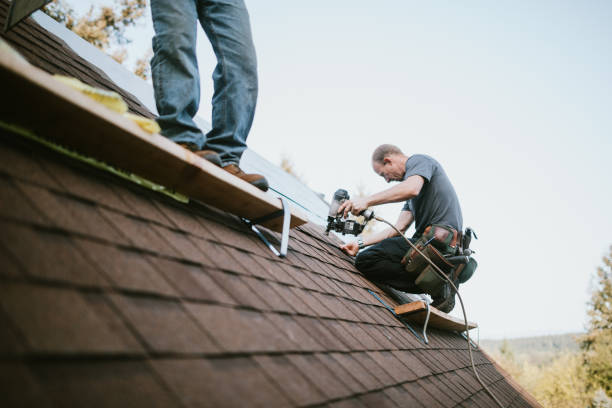 Best Residential Roofing Contractor  in North Apollo, PA